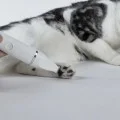 Petkit Trimmer Pro Тример за подстригване