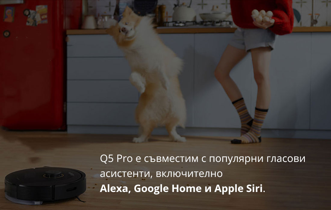Q5 Pro е съвместим с популярни гласови  асистенти, включително  Alexa, Google Home и Apple Siri.